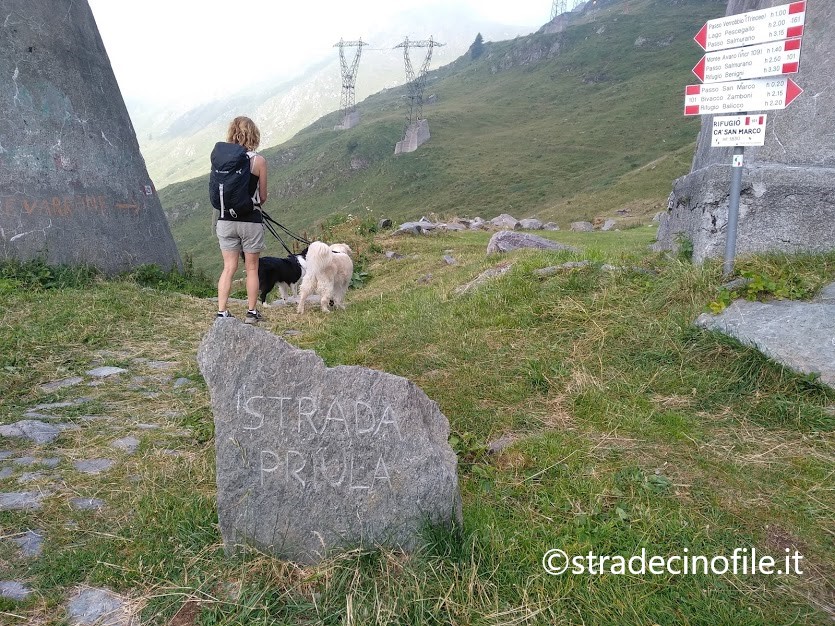 Sulle Trincee del Passo del Verrobbio