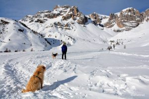 Passeggiata al Rifugio Fuciade, nel cuore delle Dolomiti