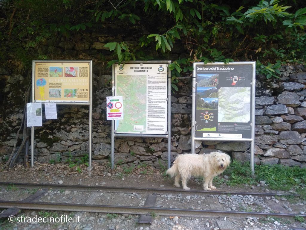 Sentiero del Tracciolino