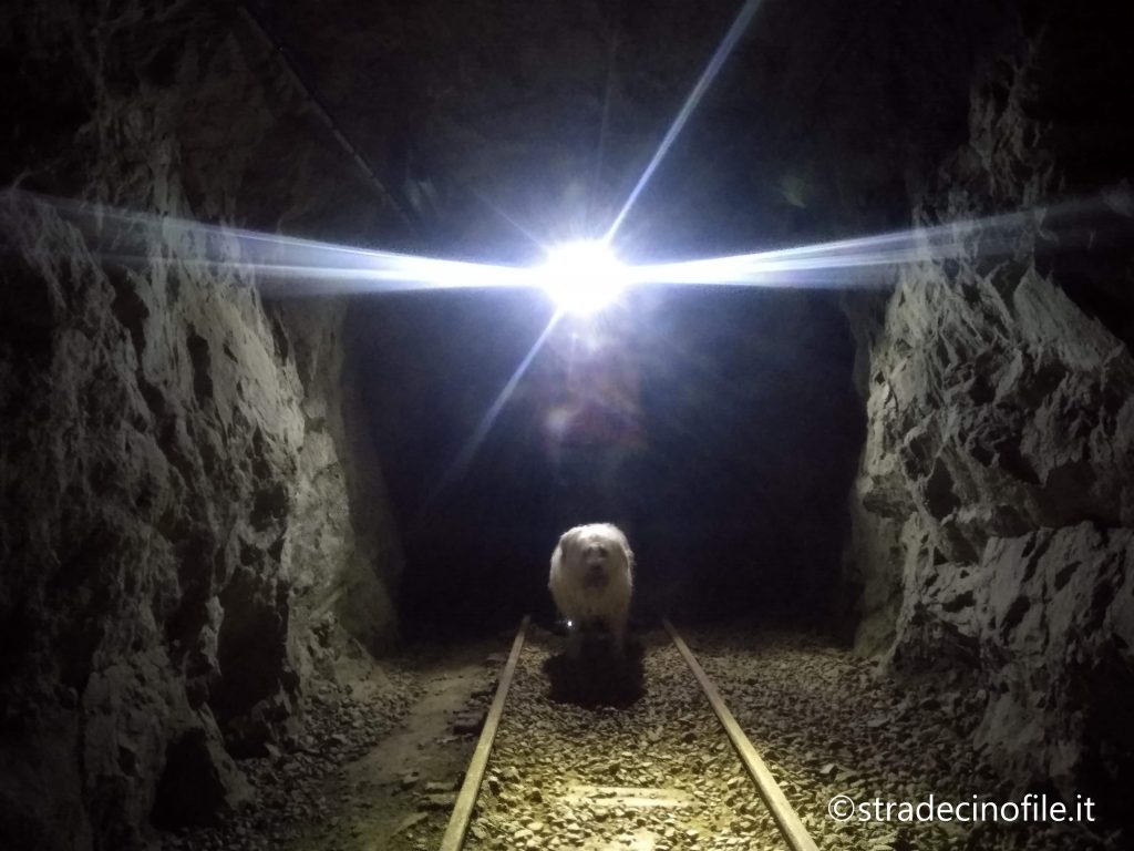 Sentiero del Tracciolino