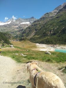 La diga e il lago smeraldo di Bionaz