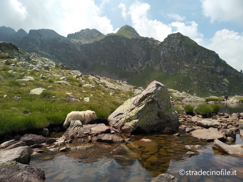 Sulle Trincee del Passo del Verrobbio