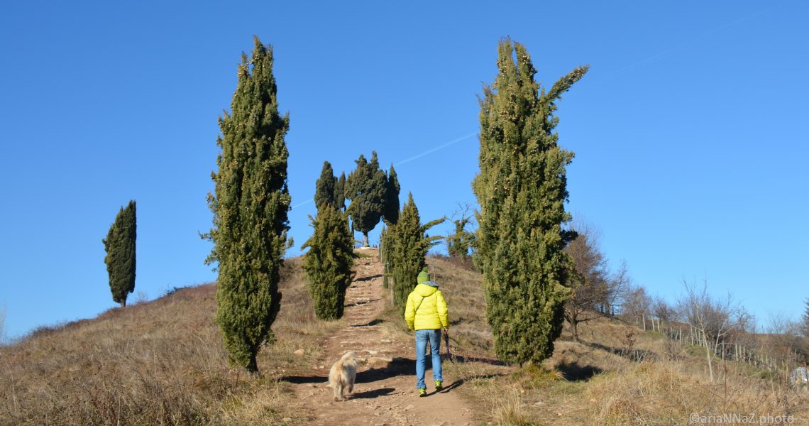 Ai Cipressi di Montevecchia, la piramide del mistero