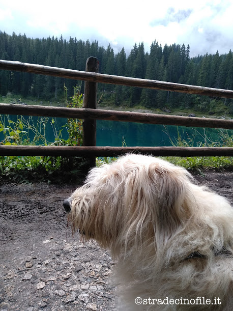 Lago di Carezza: in Val D’Elga nel blu dipinto di blu