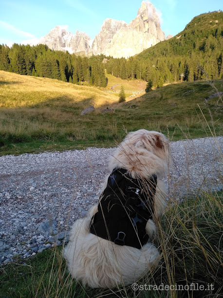 I Laghetti del Colbricón: a spasso nel Mesolitico con il cane