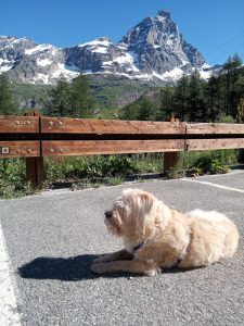 Da Magdelein a Chamois, la perla delle Alpi