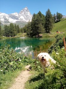 Il Lago Blu a Cervinia