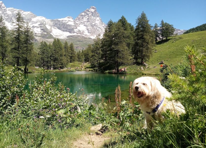 Il Lago Blu a Cervinia