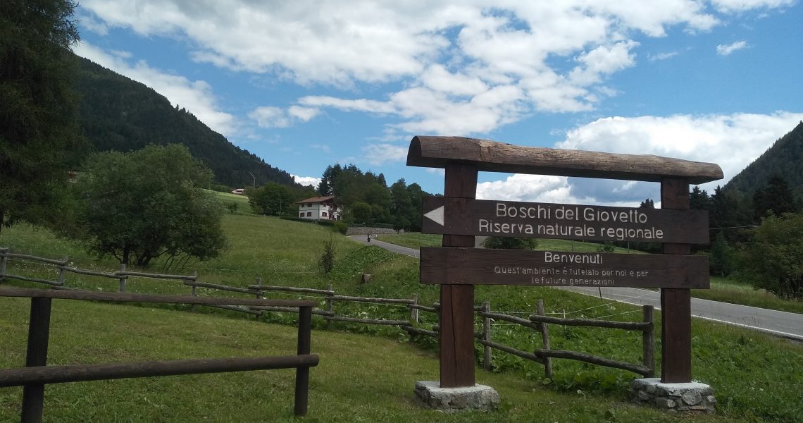 La Riserva Regionale dei Boschi del Giovetto in Val Camonica