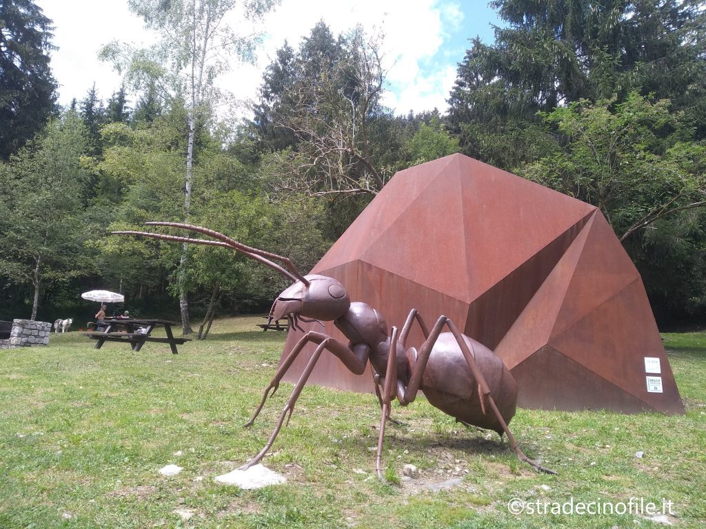 La Riserva Regionale dei Boschi del Giovetto in Val Camonica