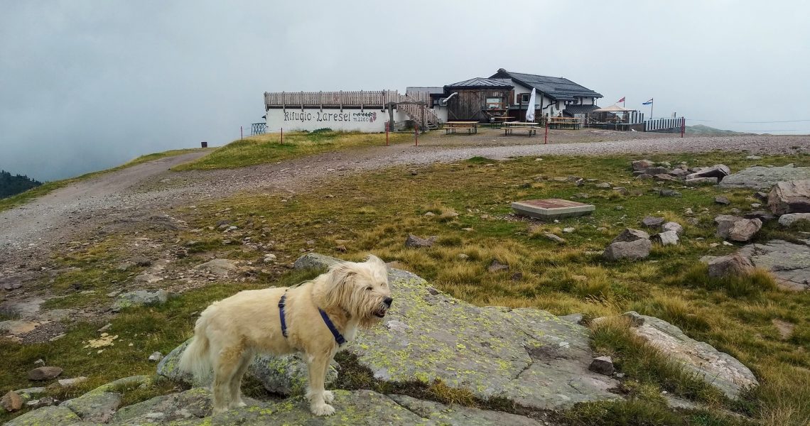 Al Rifugio Laresei, al cospetto delle vette delle Dolomiti