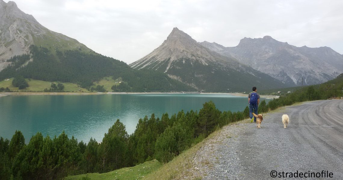 I laghi di Cancano con il cane