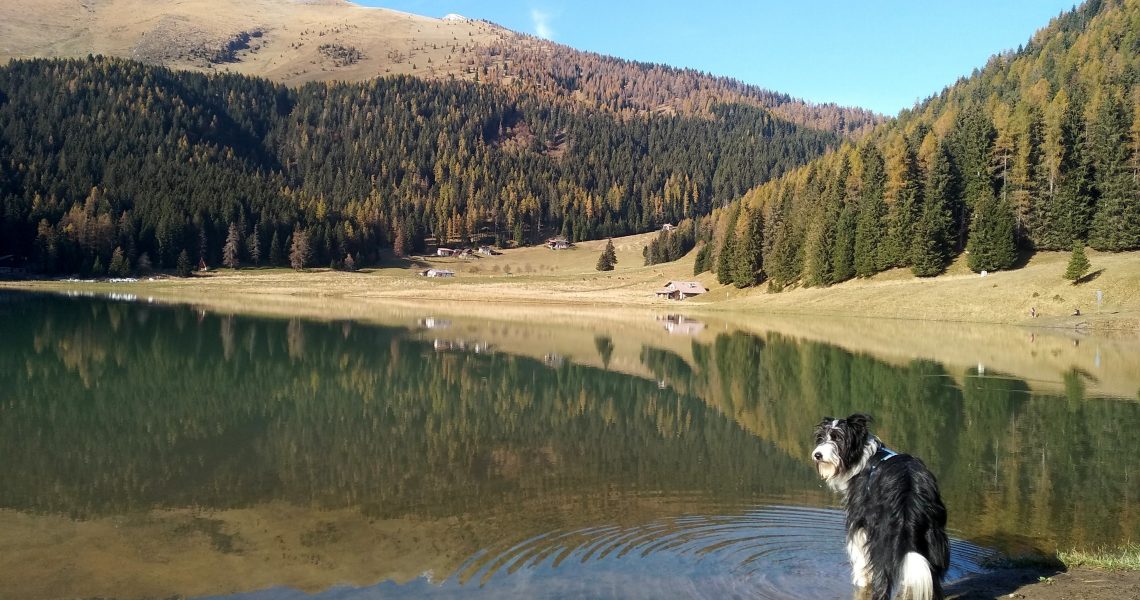 Lago di Lova