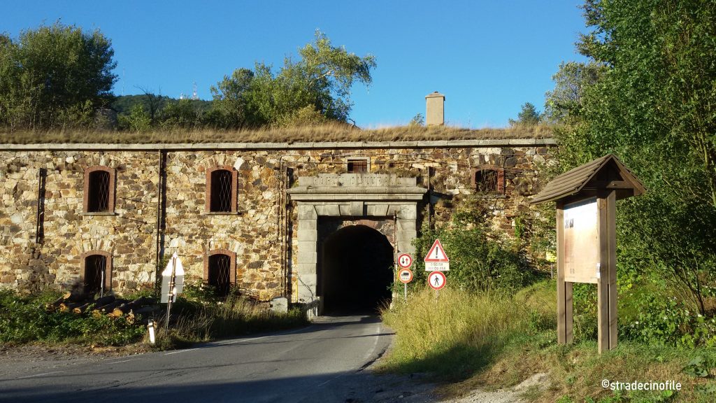 Foresta Demaniale della Barbottina