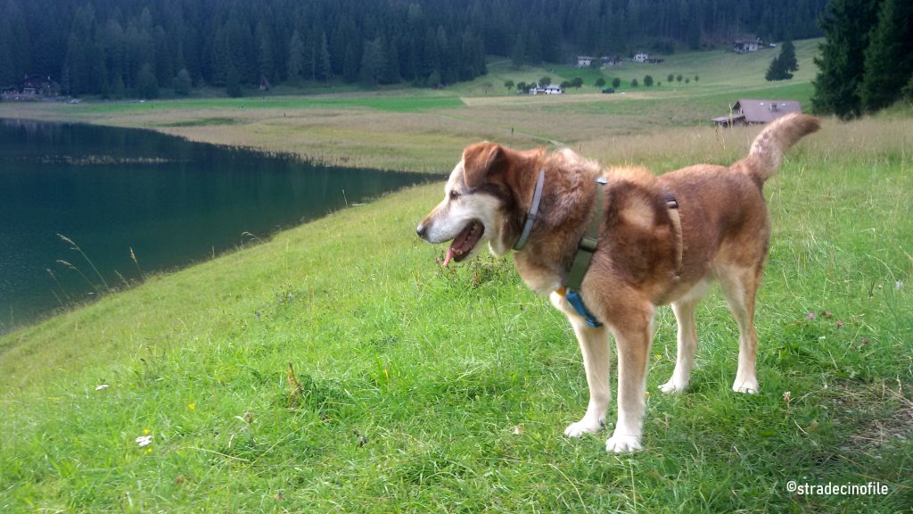 Lago di Lova