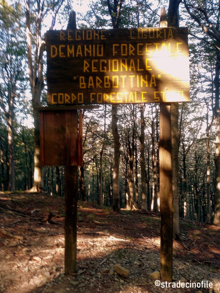 Foresta della Barbottina