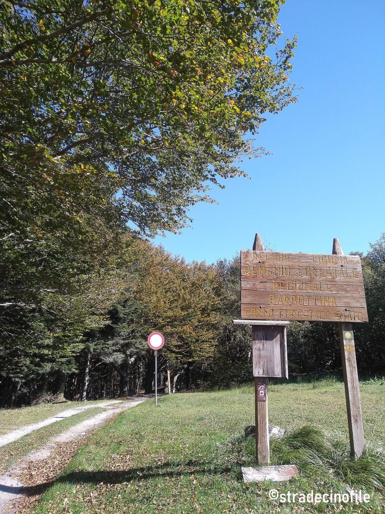 Foresta della Barbottina