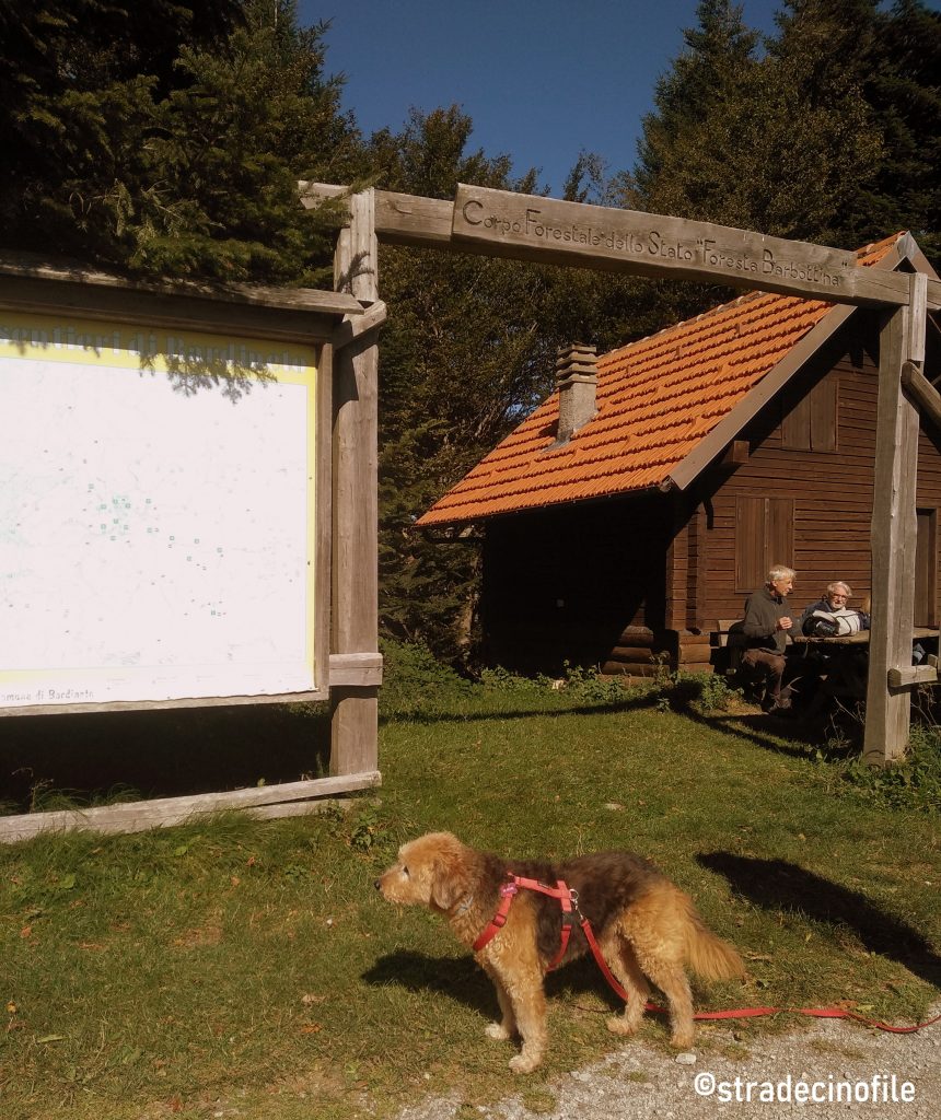 Foresta della Barbottina