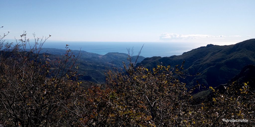 Foresta della Barbottina