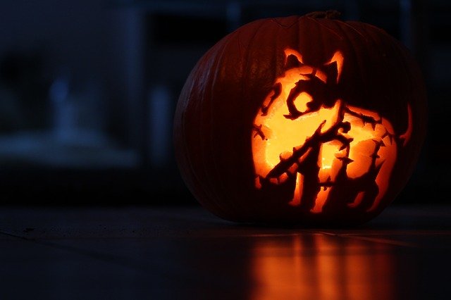 biscotti zucca e tonno per Halloween