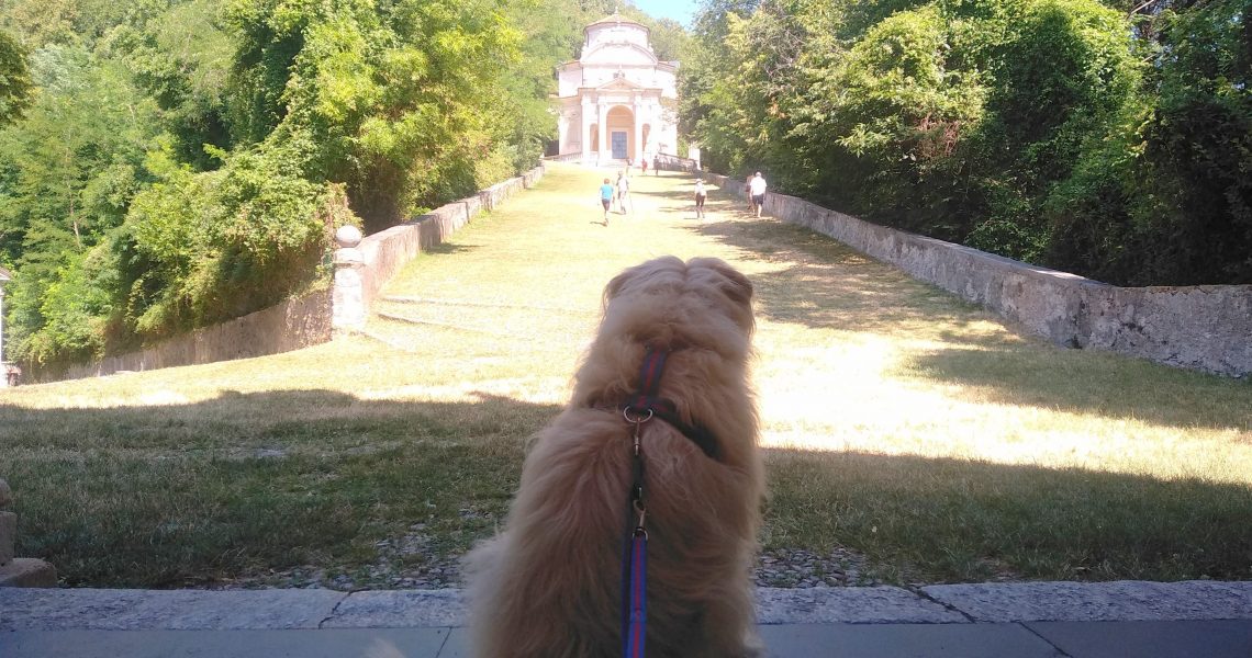 Al Sacro Monte di Varese con il nostro cane