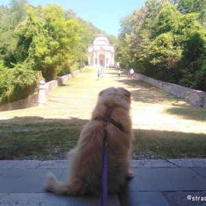 Al Sacro Monte di Varese con il nostro cane