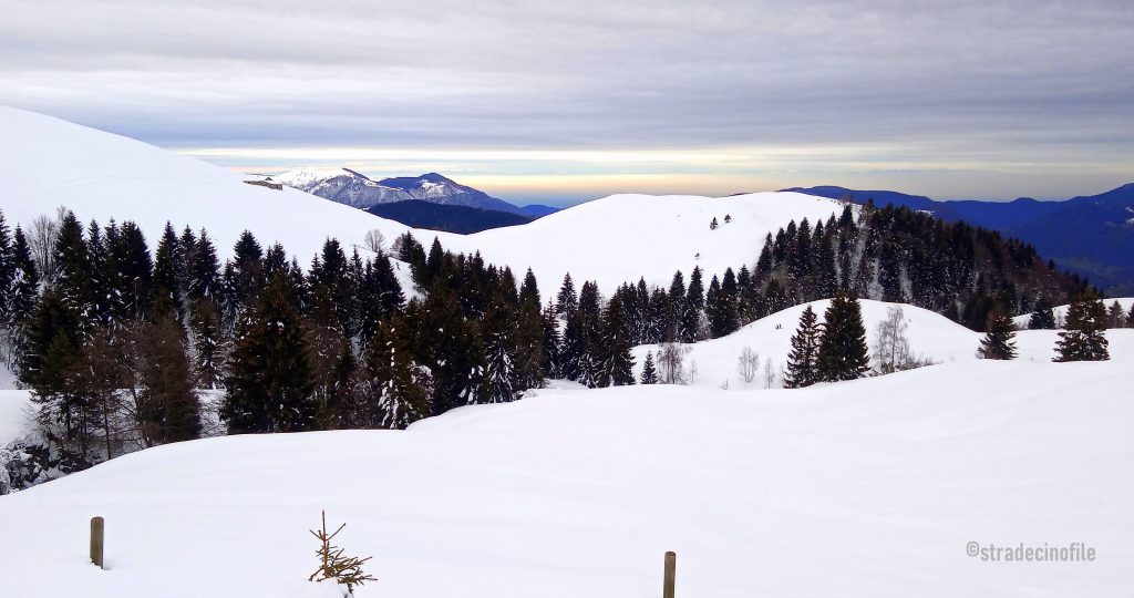 Paseggiando sulla neve con il cane, al monte Farno (BG)