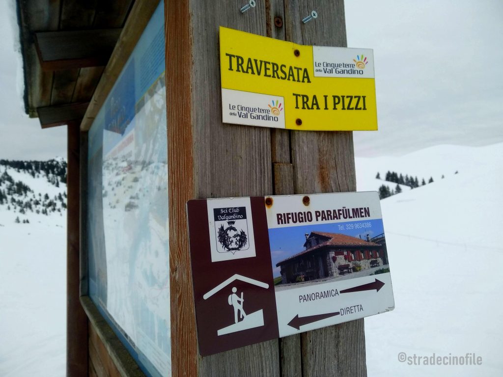 Paseggiando sulla neve con il cane, al monte Farno (BG)