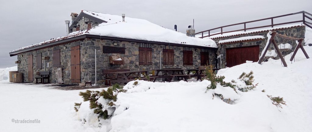 Paseggiando sulla neve con il cane, al monte Farno (BG)