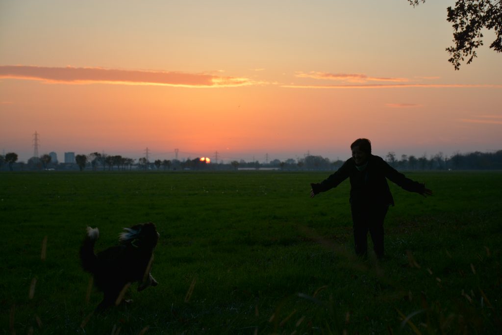 Va dove ti porta il cane