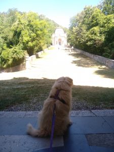 Al Sacro Monte di Varese con il nostro cane