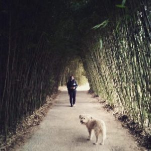 Al Labirinto della Masone con il nostro cane