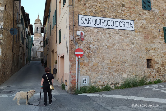 In Val D’Orcia con i nostri cani