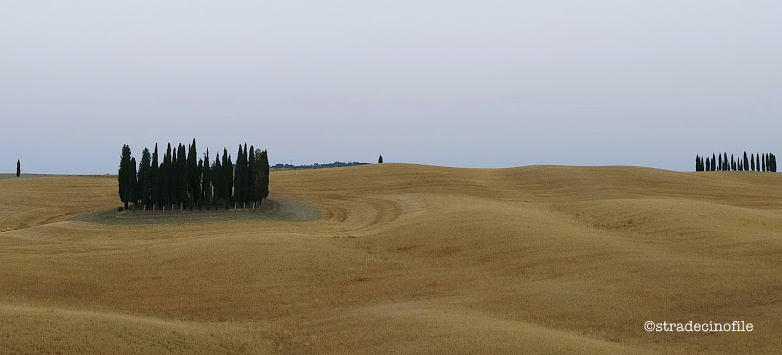 In Val D’Orcia con i nostri cani