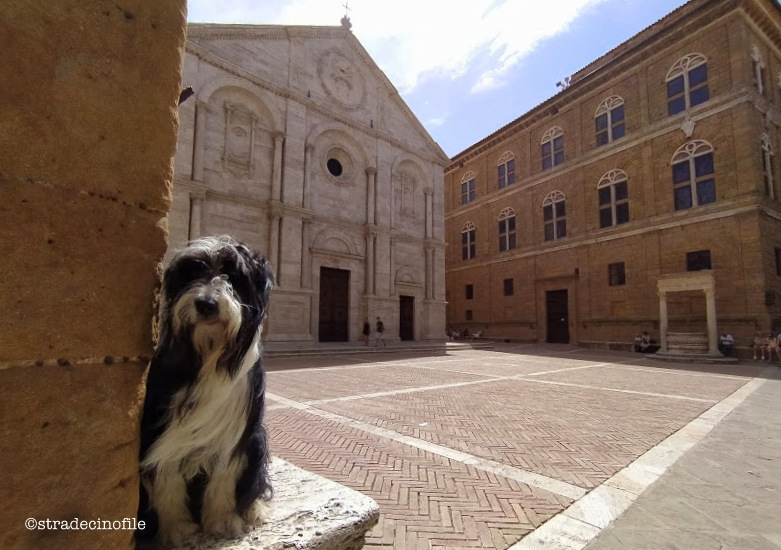 In Val D’Orcia con i nostri cani