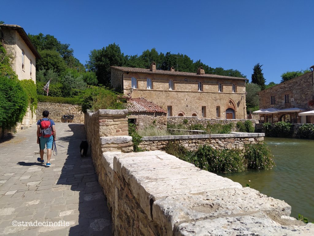 In Val D’Orcia con i nostri cani