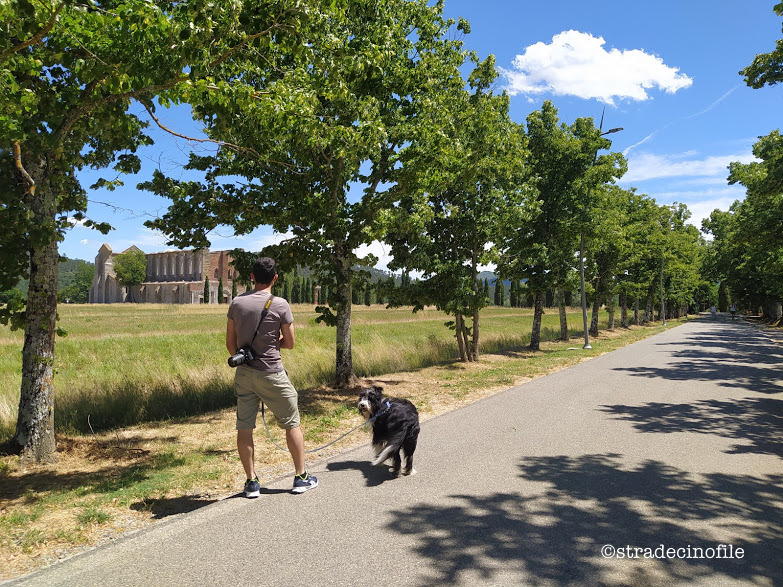 In Val D’Orcia con i nostri cani