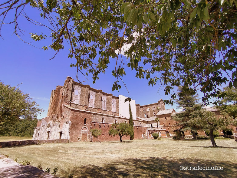 In Val D’Orcia con i nostri cani