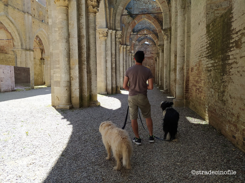 In Val D’Orcia con i nostri cani