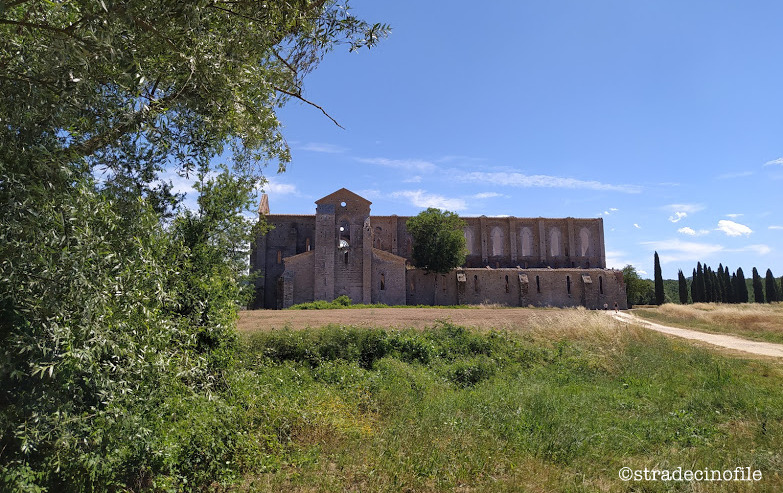 In Val D’Orcia con i nostri cani