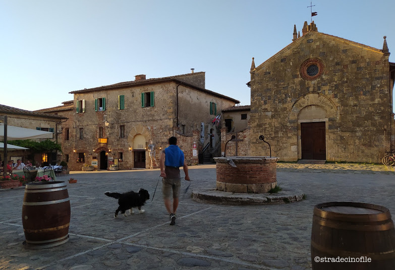 In Val D’Orcia con i nostri cani