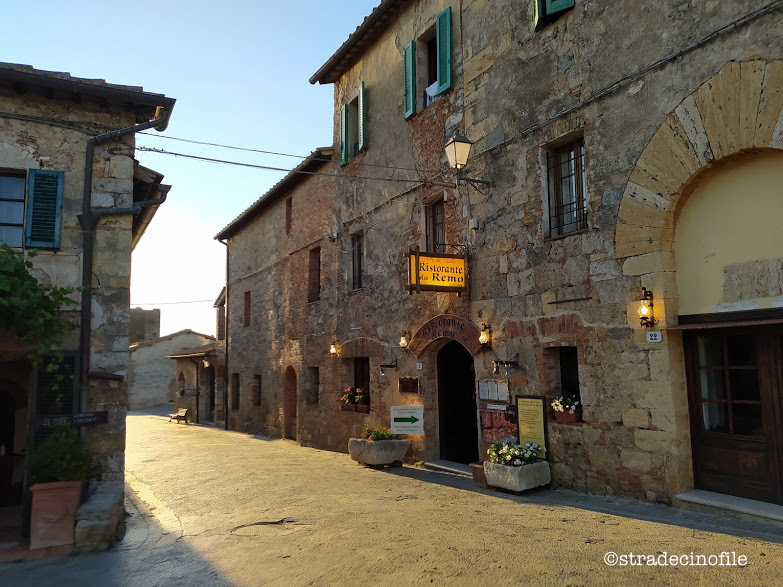 In Val D’Orcia con i nostri cani