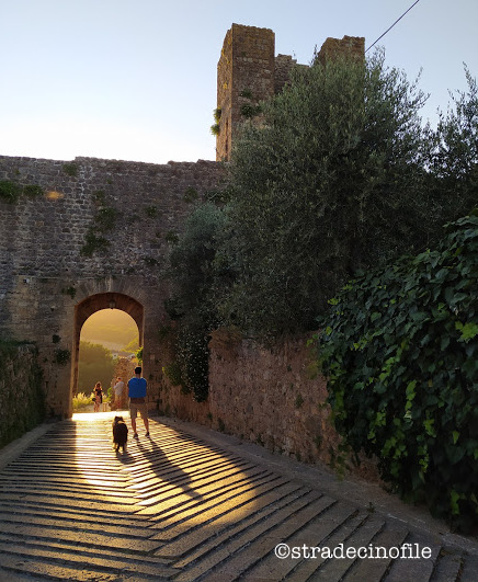 In Val D’Orcia con i nostri cani