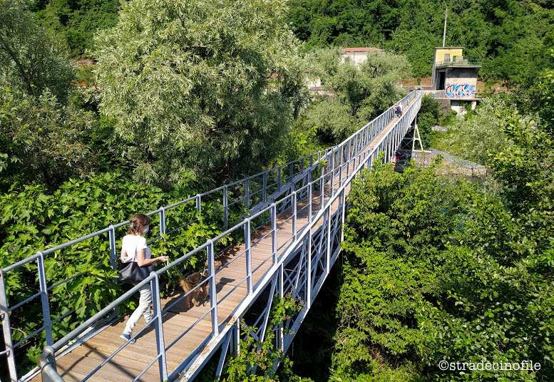 A Crespi d’Adda con il nostro cane