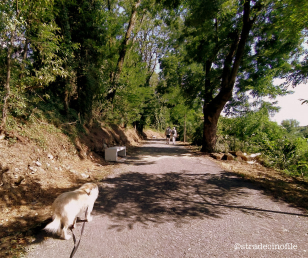 A Crespi d’Adda con il nostro cane