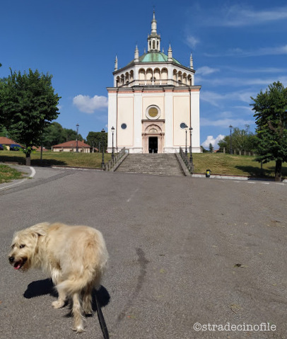 A Crespi d’Adda con il nostro cane