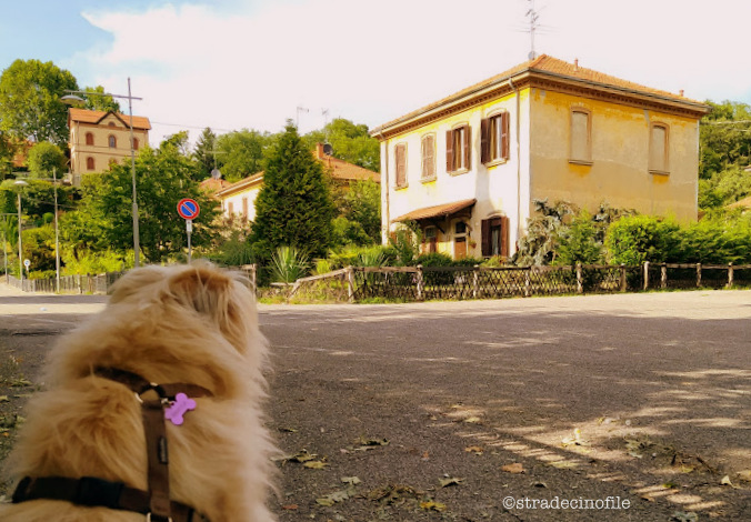 A Crespi d’Adda con il nostro cane