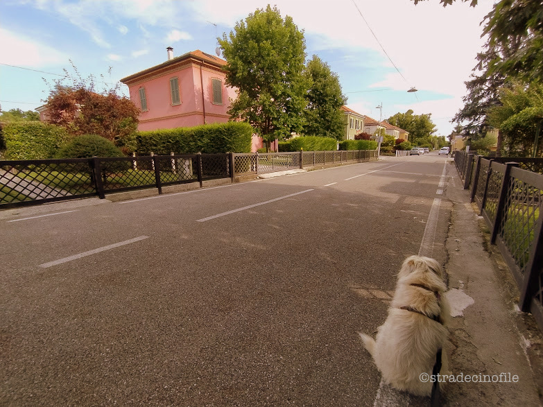 A Crespi d’Adda con il nostro cane