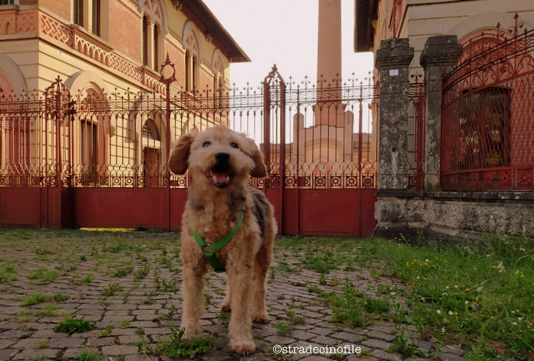 A Crespi d’Adda con il nostro cane