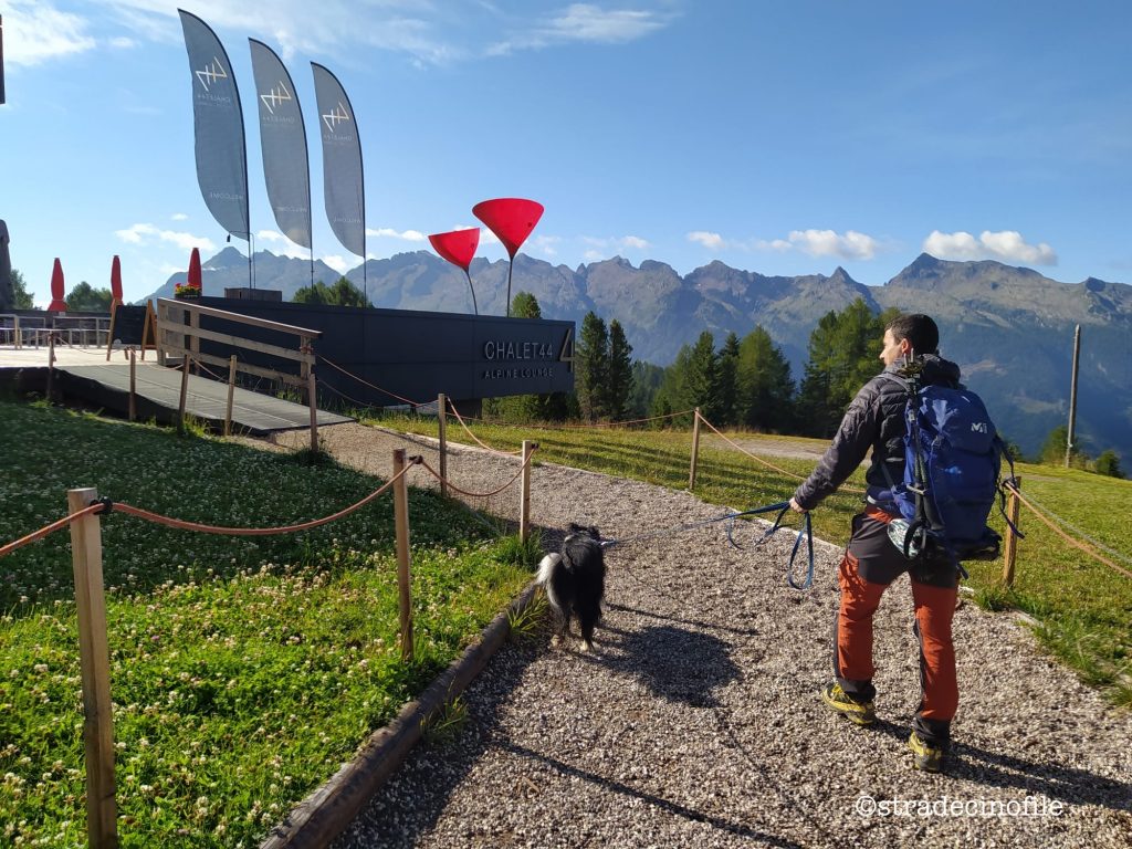 Passeggiata a Malga Bocche con il cane